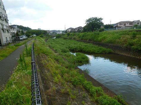 斜光橋|台湾見聞録さんの関連旅行記